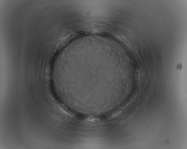 X0000094420760200712061051