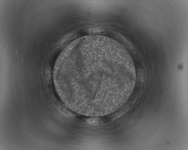 X0000094420761200712061051