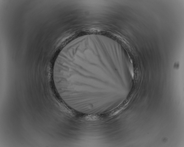 X0000094420762200712061051