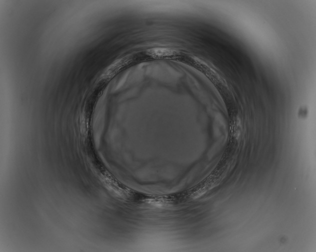 X0000094420763200712061051