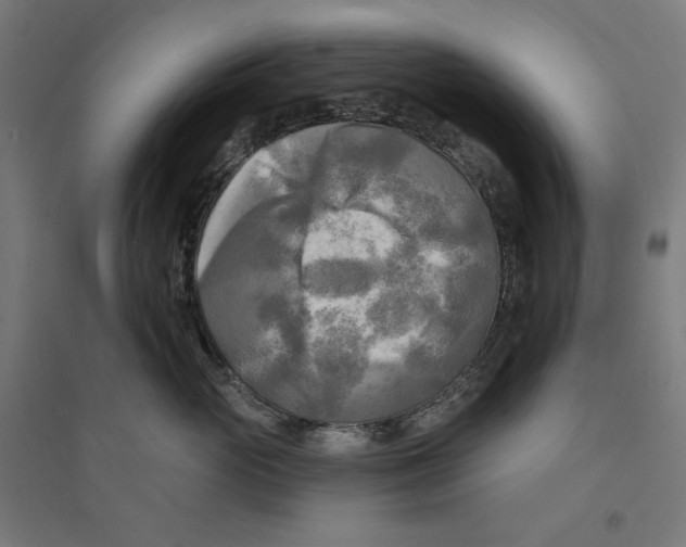 X0000094420765200712061051