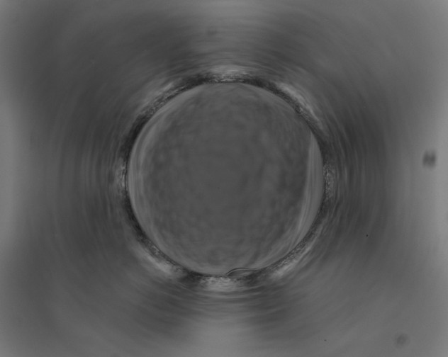 X0000094420766200712061051