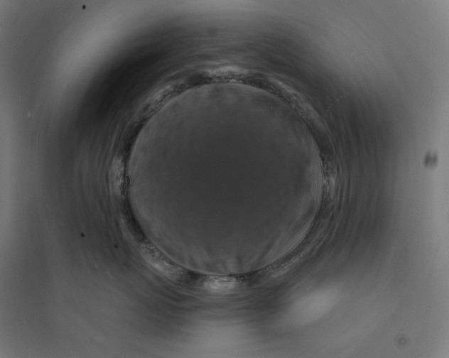 X0000094420767200712061051