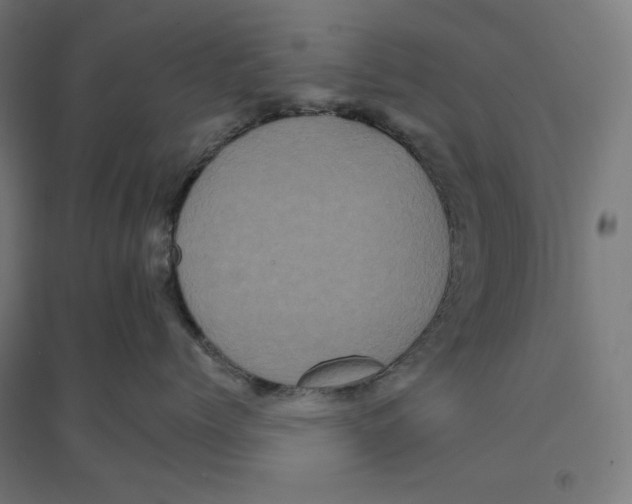 X0000094420768200712061051