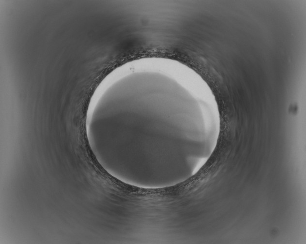 X0000094420769200712061050