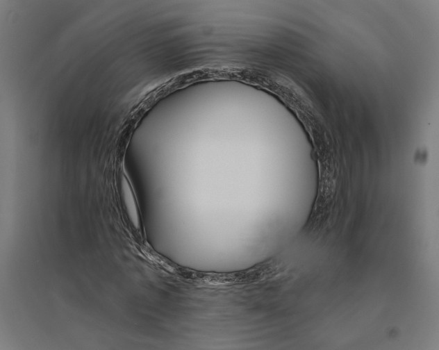 X0000094420773200712061050