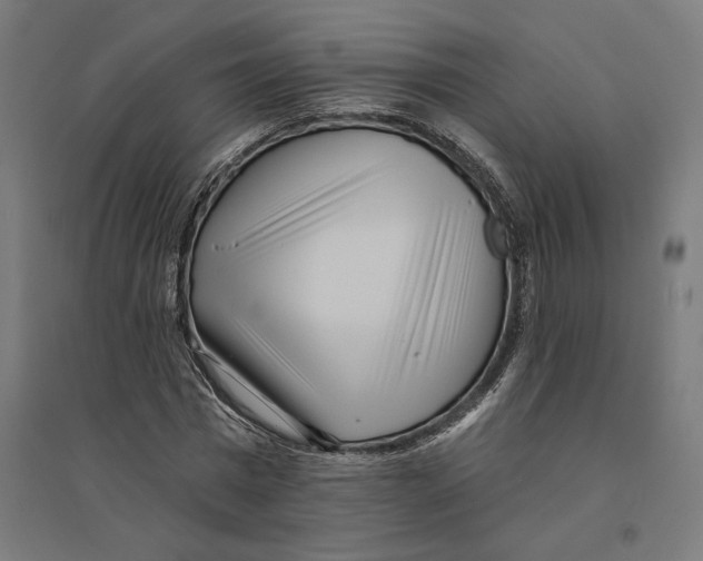 X0000094420777200712061050