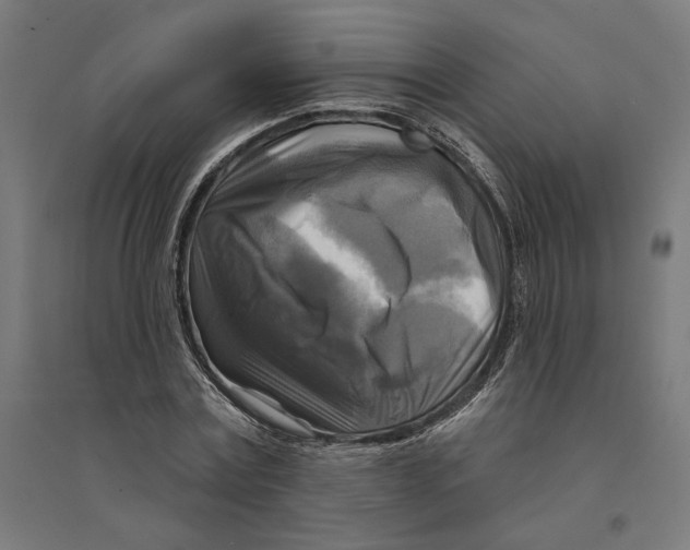 X0000094420779200712061050