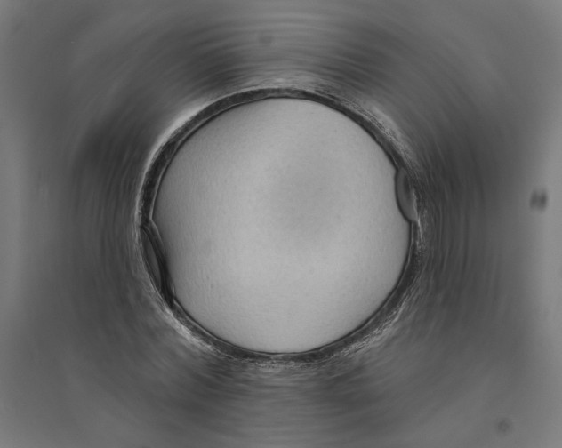 X0000094420780200712061050