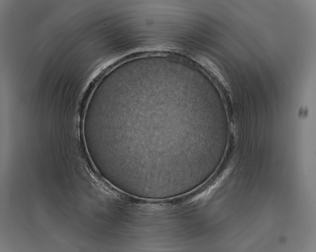 X0000094420781200712061050