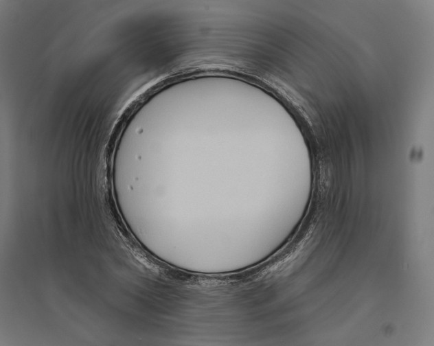 X0000094420782200712061050