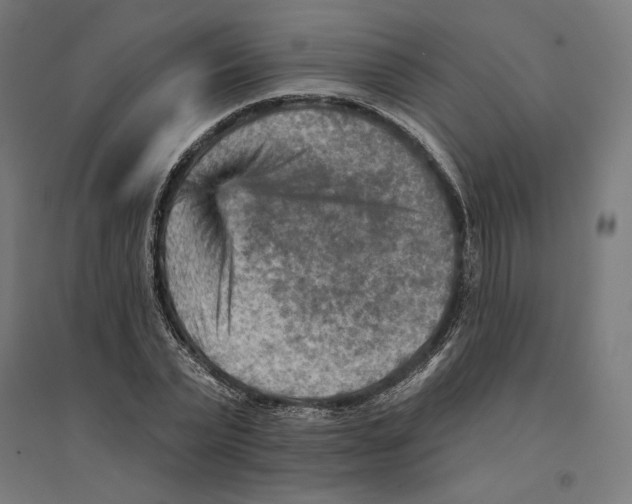 X0000094420783200712061050