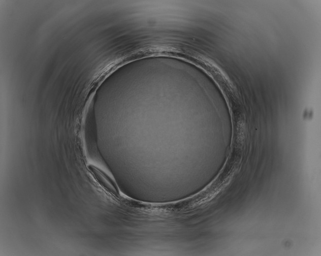 X0000094420785200712061050