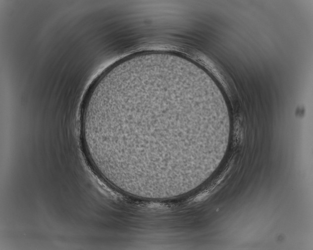 X0000094420787200712061050