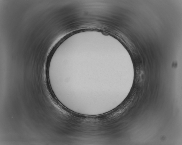 X0000094420788200712061050