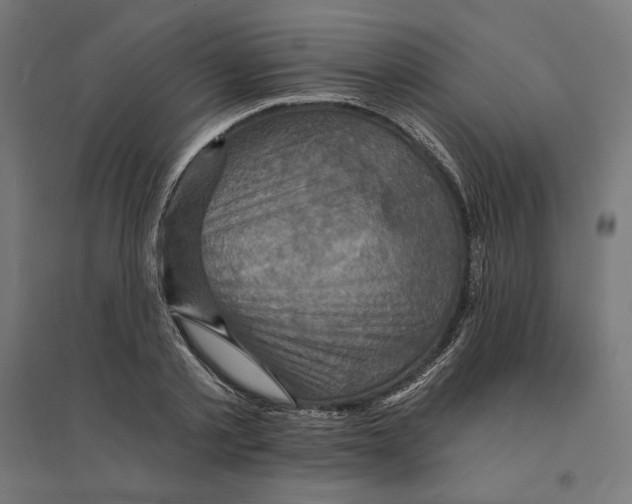 X0000094420789200712061050