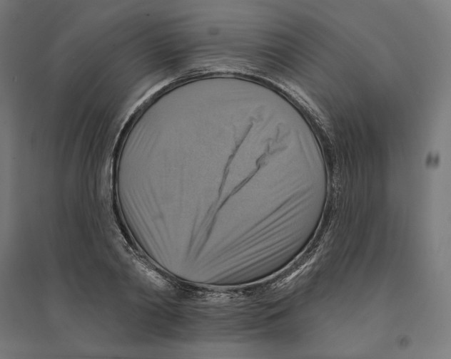 X0000094420790200712061050