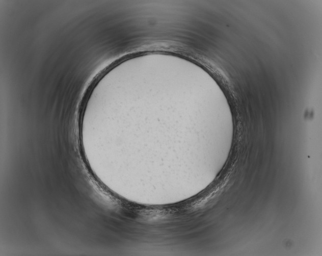 X0000094420792200712061050