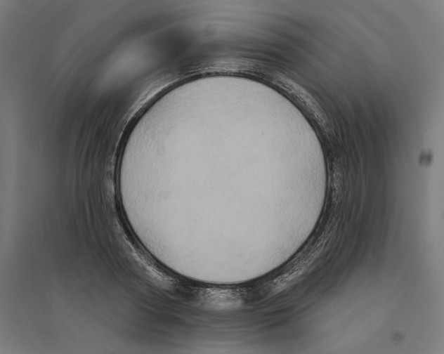 X0000094420794200712061050