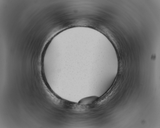 X0000094420795200712061050