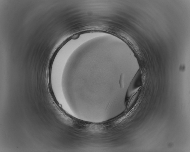 X0000094420796200712061050