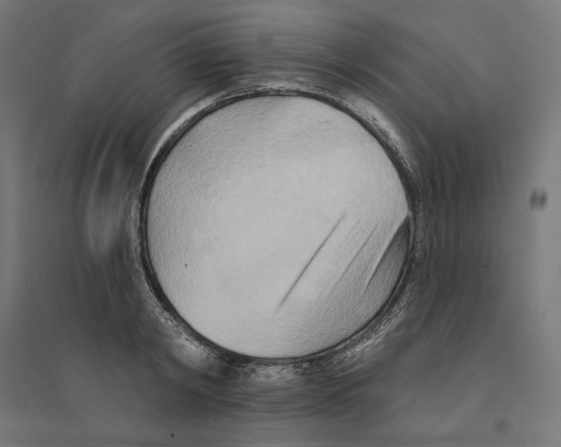 X0000094420798200712061050