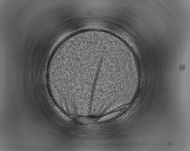 X0000094420799200712061050