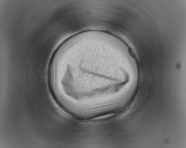 X0000094420803200712061050