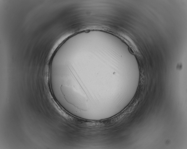 X0000094420804200712061050