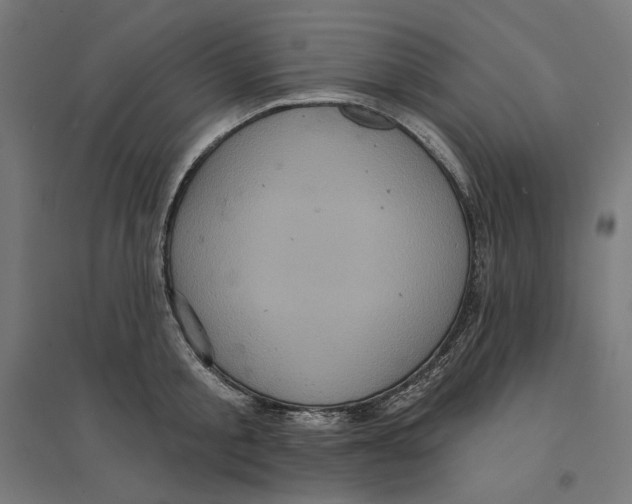 X0000094420805200712061050