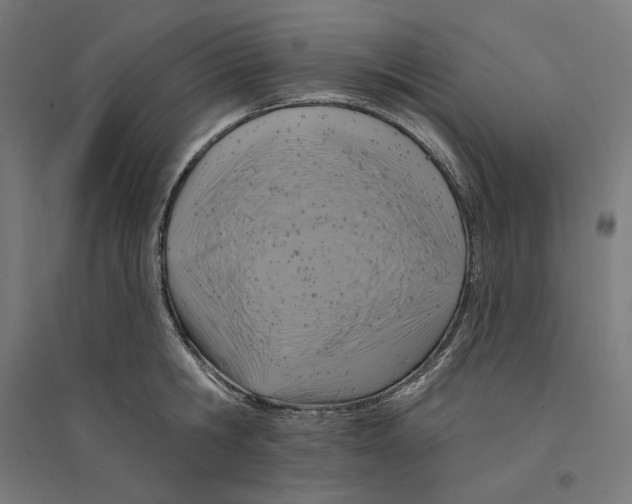 X0000094420806200712061050