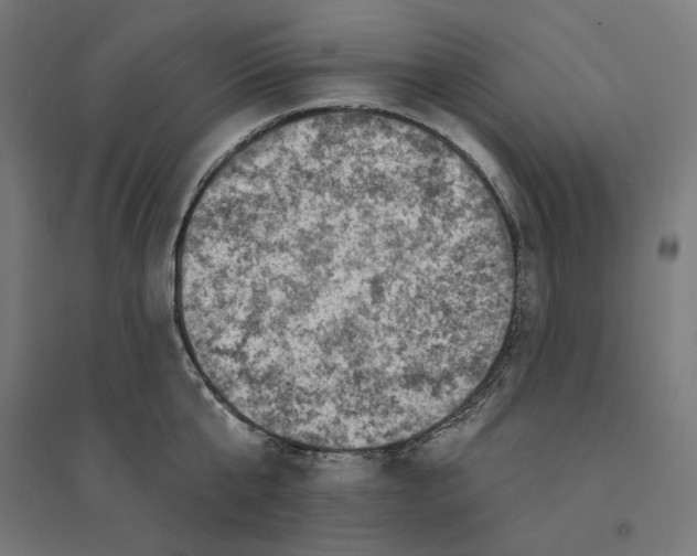 X0000094420807200712061050