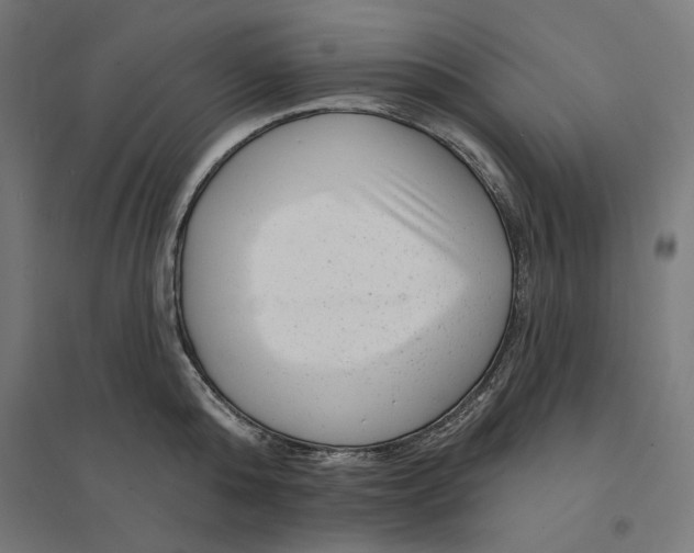 X0000094420808200712061050