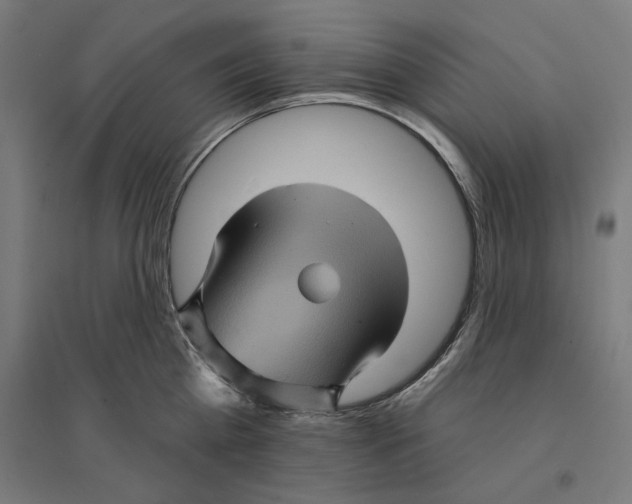 X0000094420809200712061050