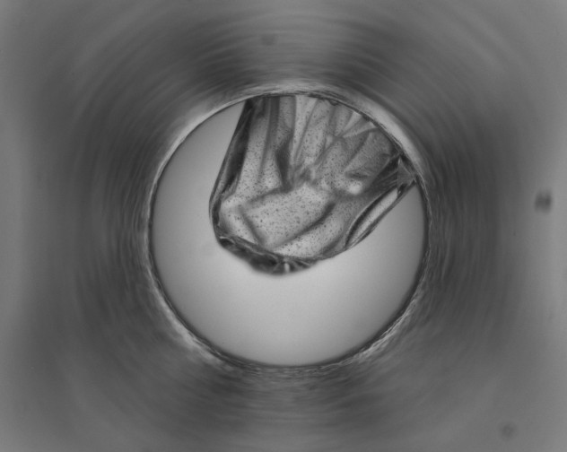 X0000094420810200712061050