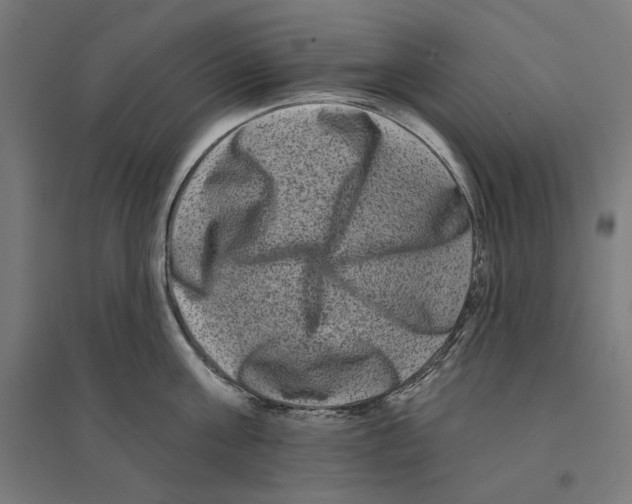 X0000094420811200712061050