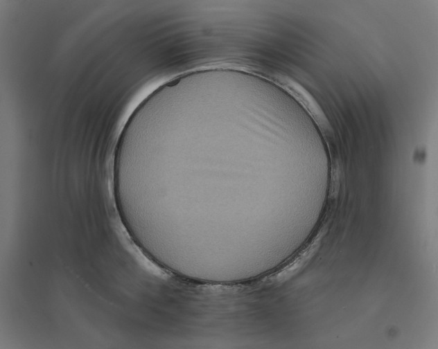 X0000094420812200712061050