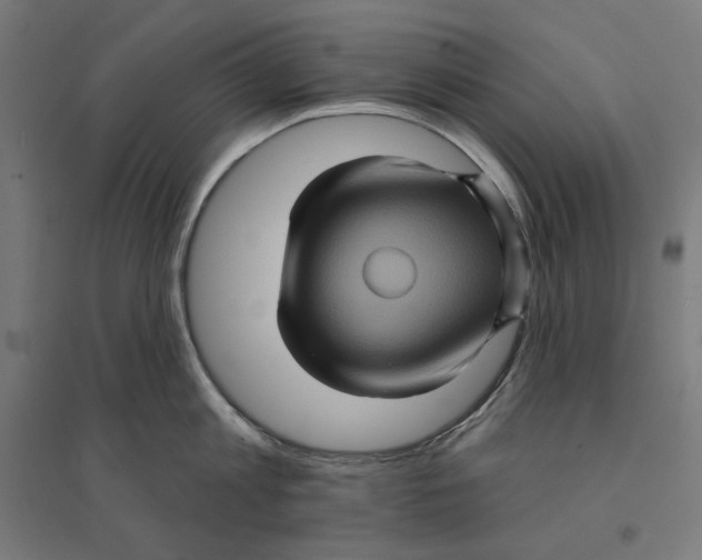 X0000094420813200712061050