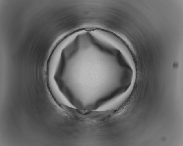 X0000094420815200712061050