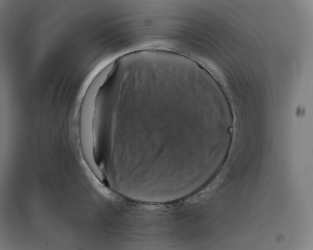 X0000094420816200712061050