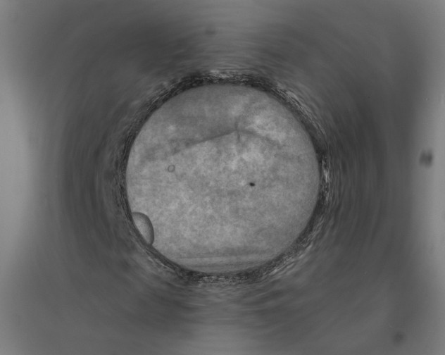 X0000094420817200712061049