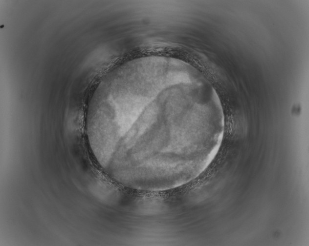 X0000094420820200712061049