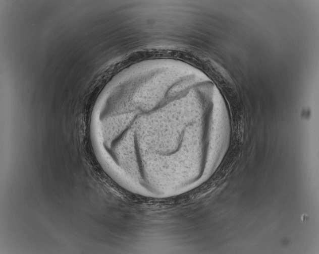 X0000094420821200712061049