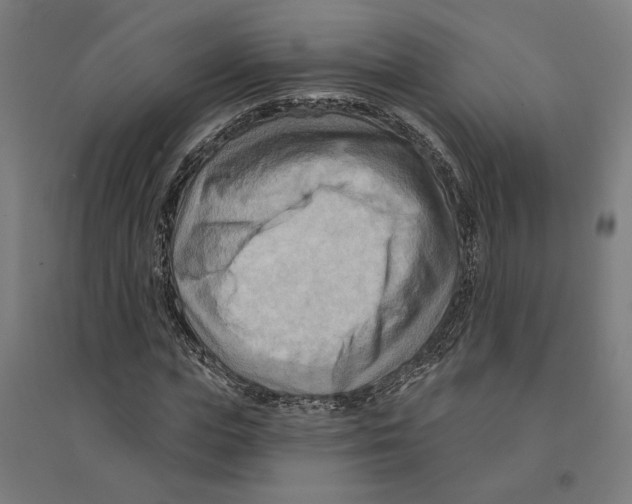 X0000094420823200712061049