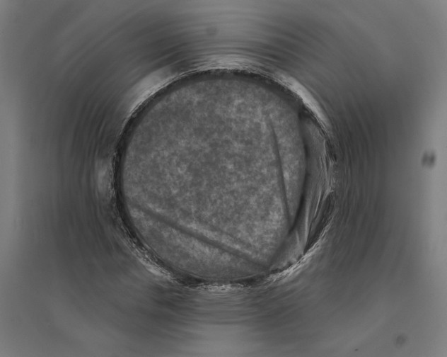 X0000094420826200712061049