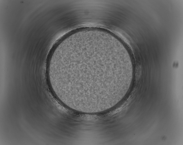 X0000094420831200712061049