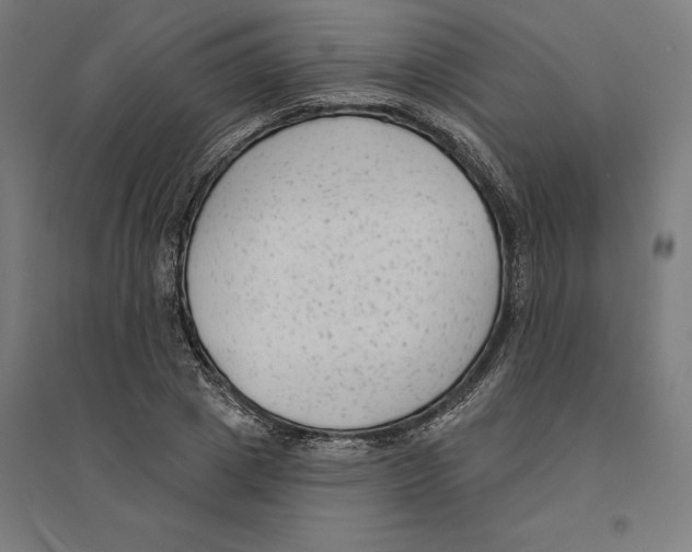 X0000094420833200712061049