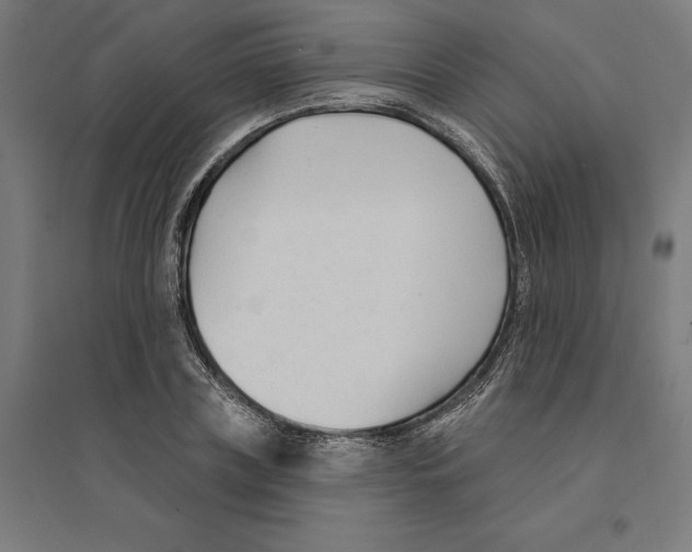 X0000094420835200712061049