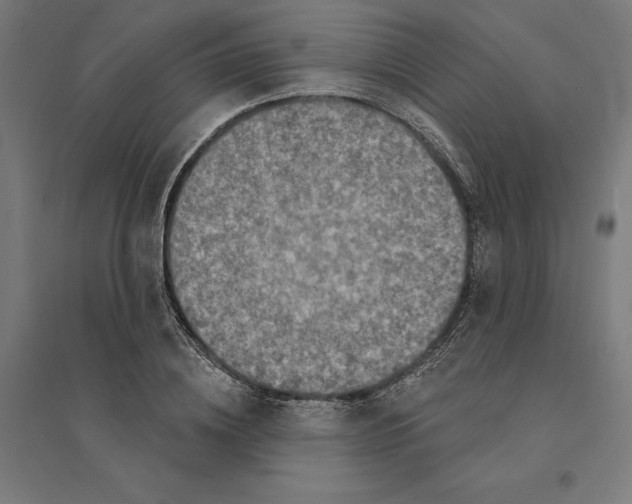 X0000094420836200712061049