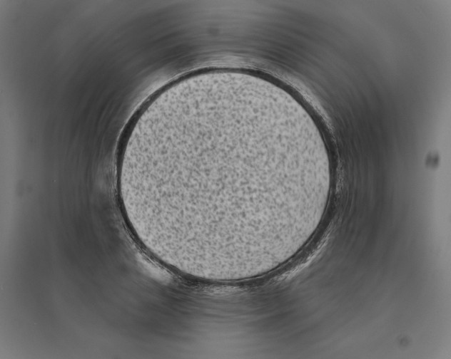 X0000094420837200712061049